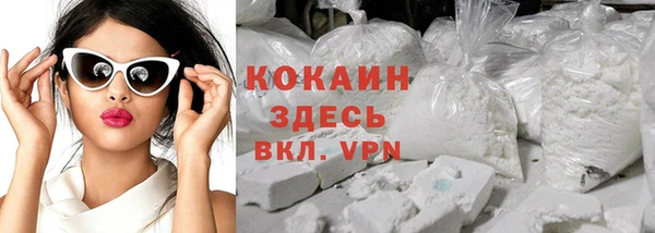 PSILOCYBIN Козловка