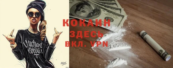 PSILOCYBIN Козловка