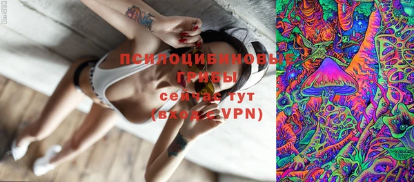 тгк Козельск