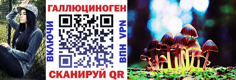 Псилоцибиновые грибы GOLDEN TEACHER Купить Ленинск-Кузнецкий